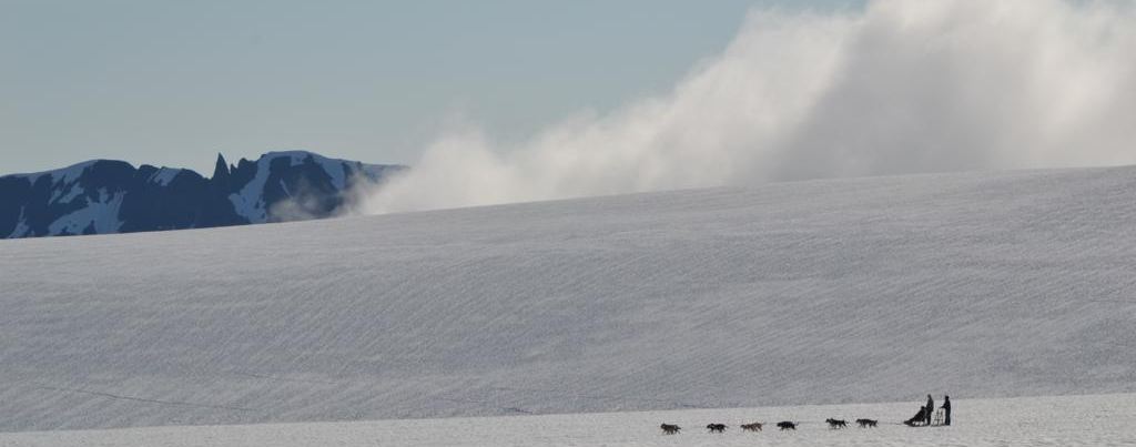 trineus de gossos a el glaciar Godwin