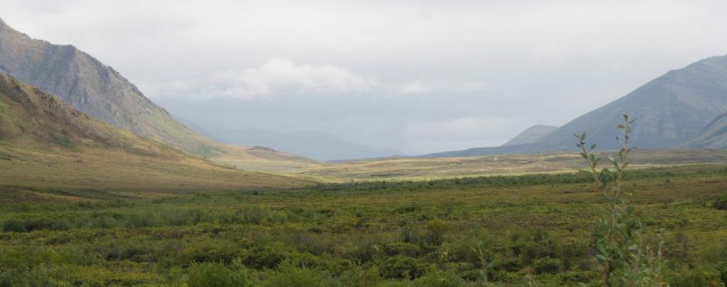 Tombstone Mountains