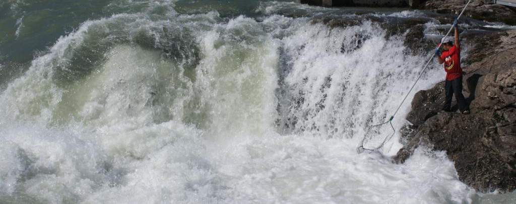 pesca deñ salmón estilo tradicional en el norte de la Columbia Británica