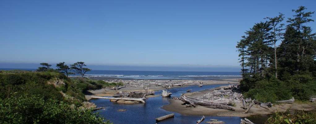 Parque nacional de Olympic